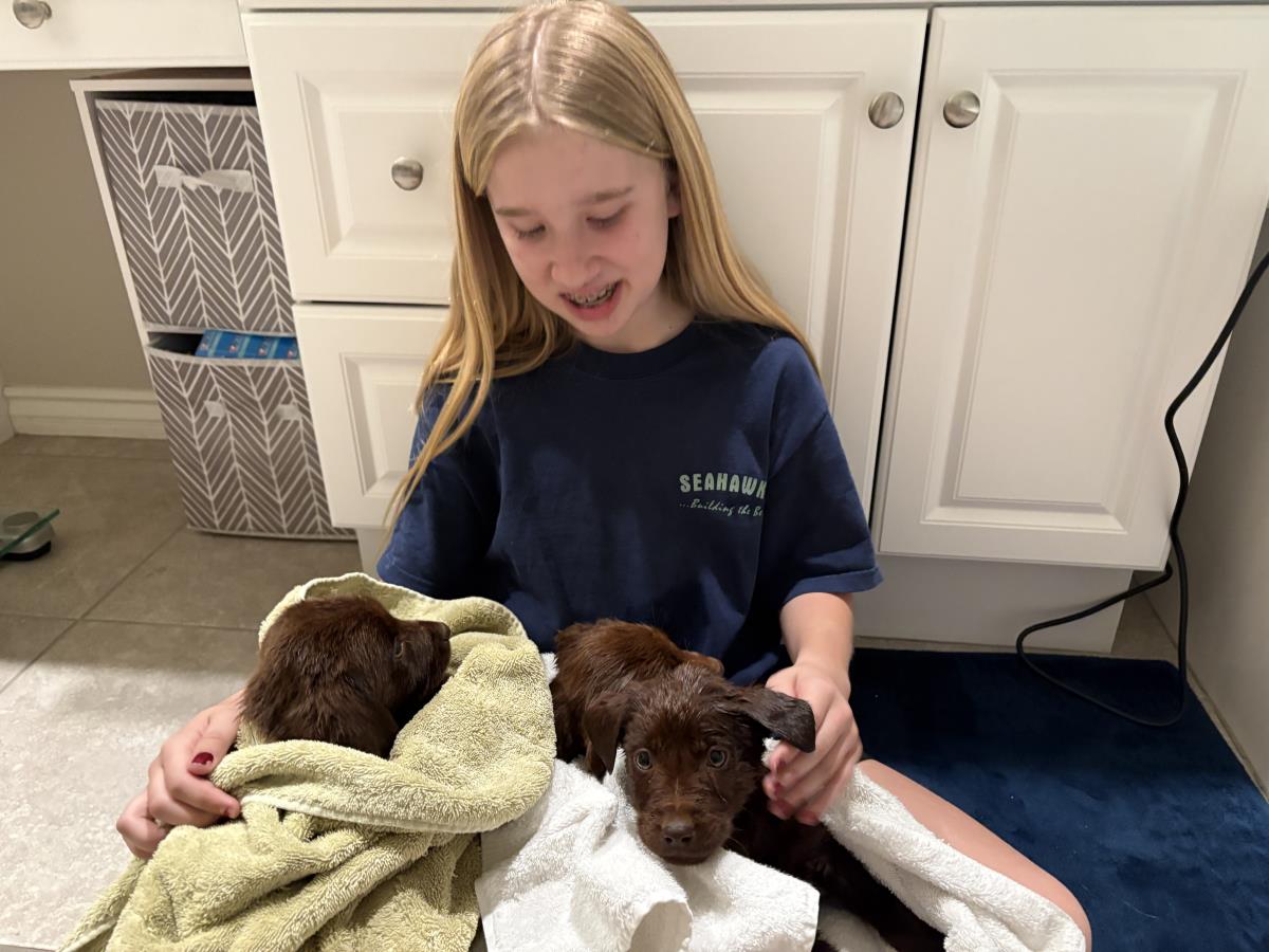 Puppy Oliver - Adopted