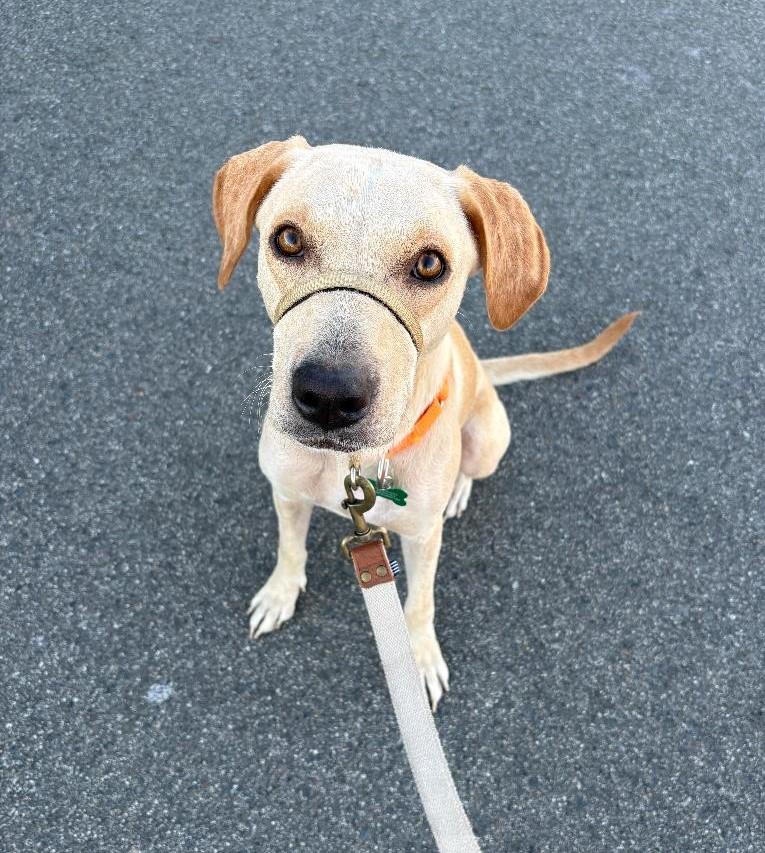 Sabrina