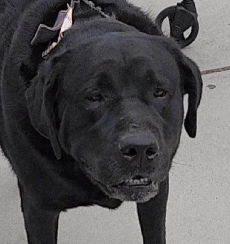 Jax