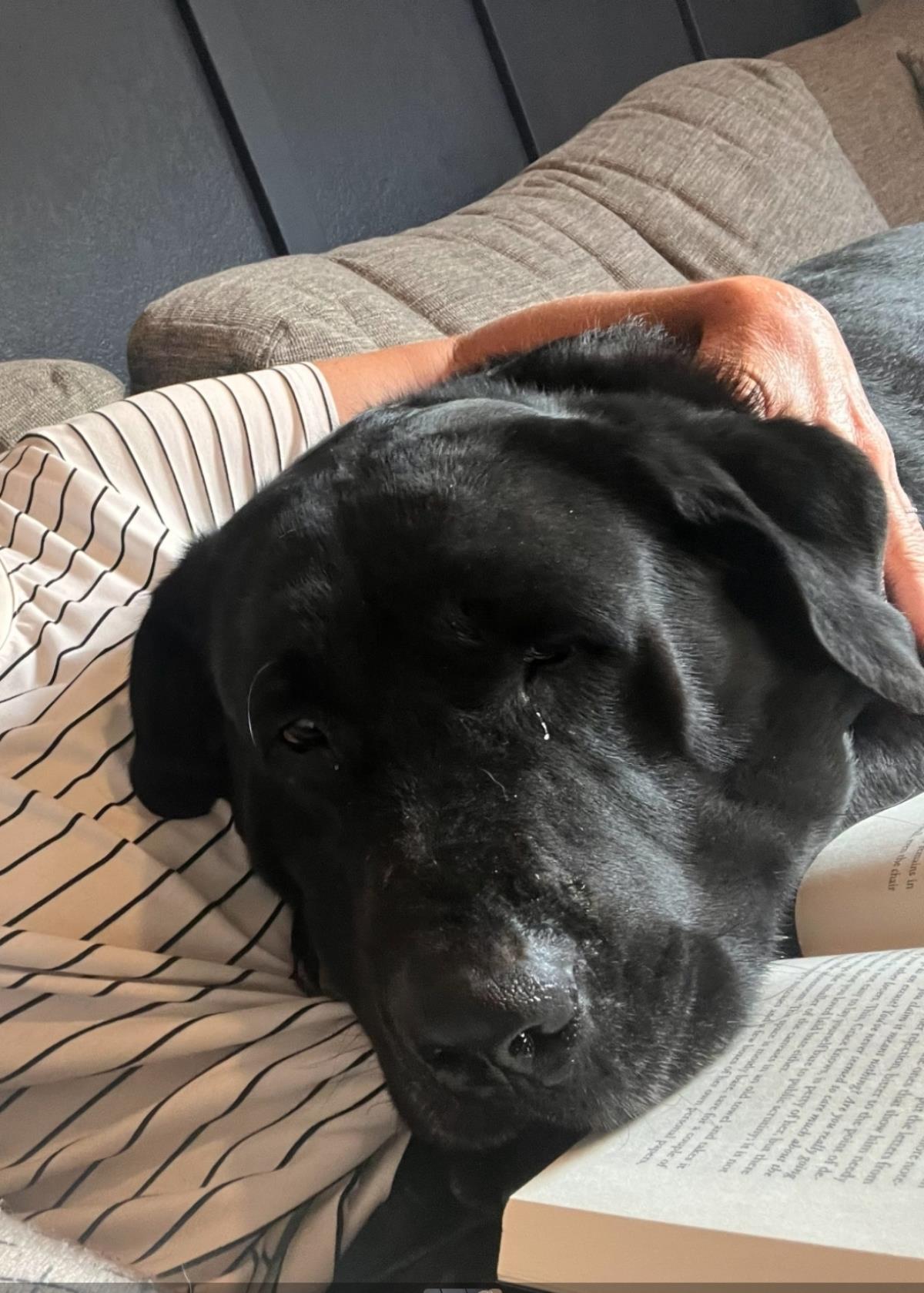 Jax