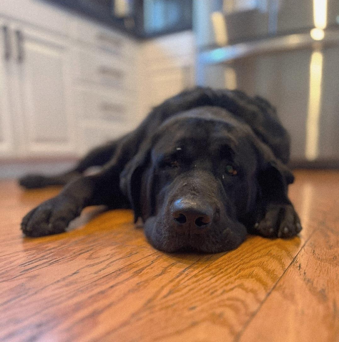 Jax