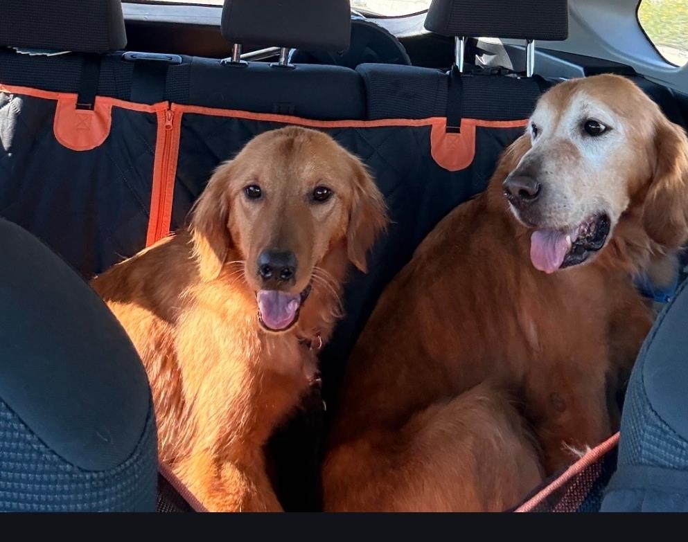 Dakota - Application List Full