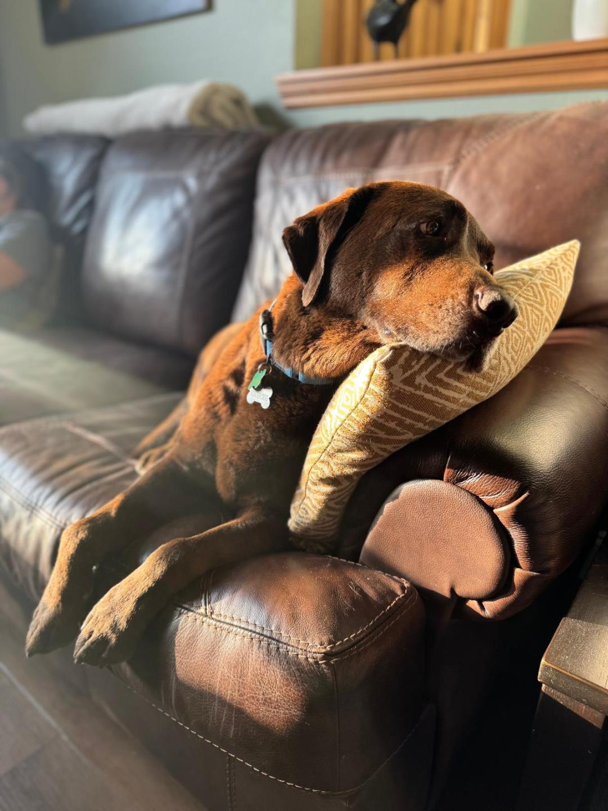Snickers