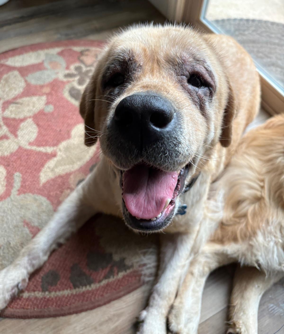 Zoey