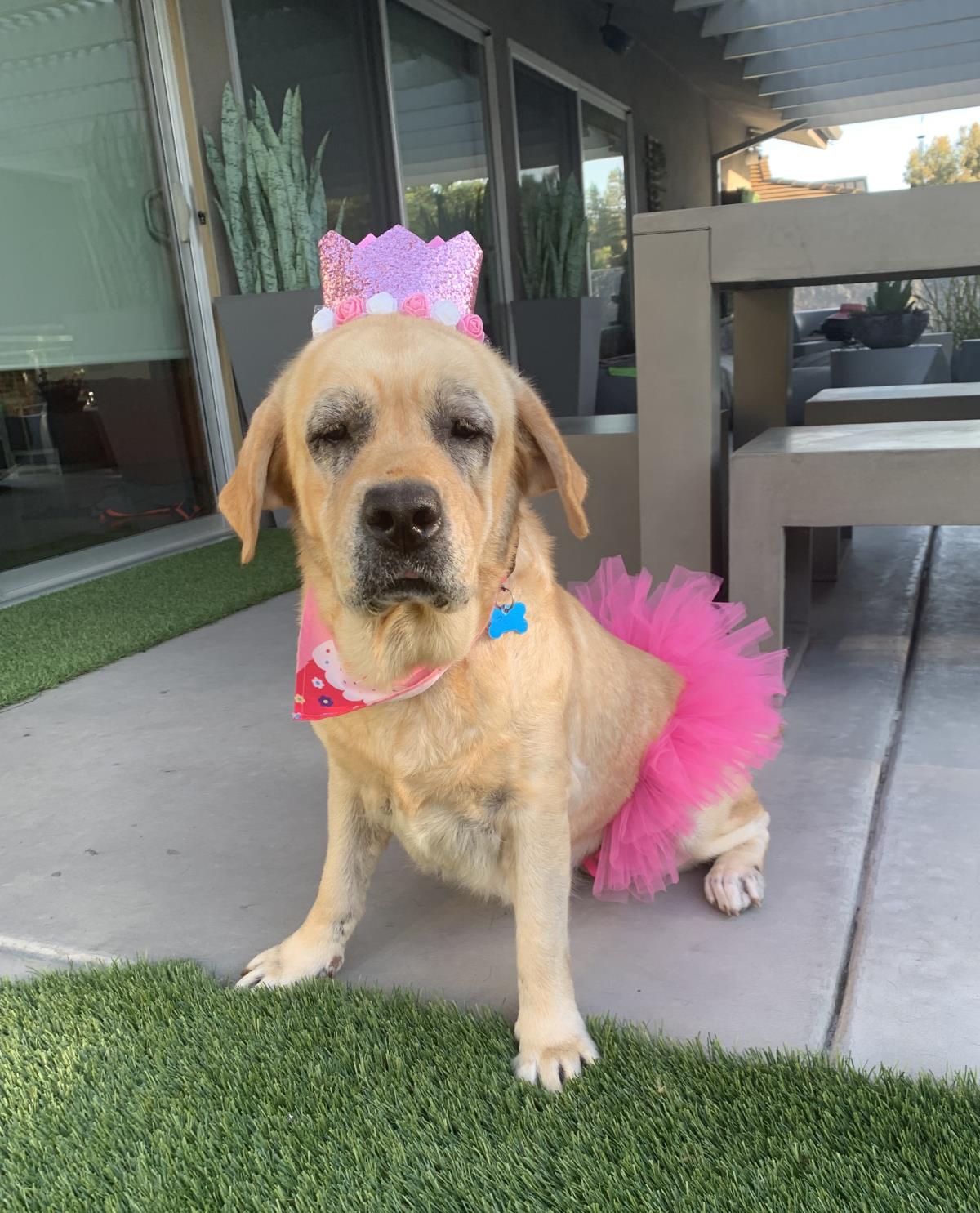 Zoey - Waitlist Full