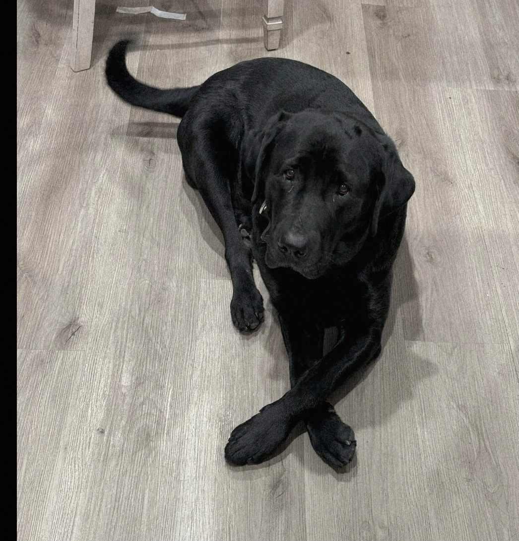 Jax